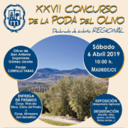 concurso poda del olivo