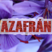 azafrán madridejos