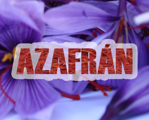azafrán madridejos
