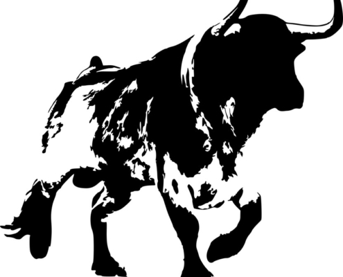 toro