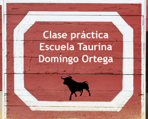 escuela taurina domingo ortega