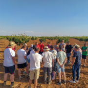 taller injerto pistachero madridejos