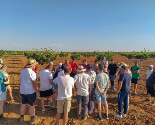 taller injerto pistachero madridejos