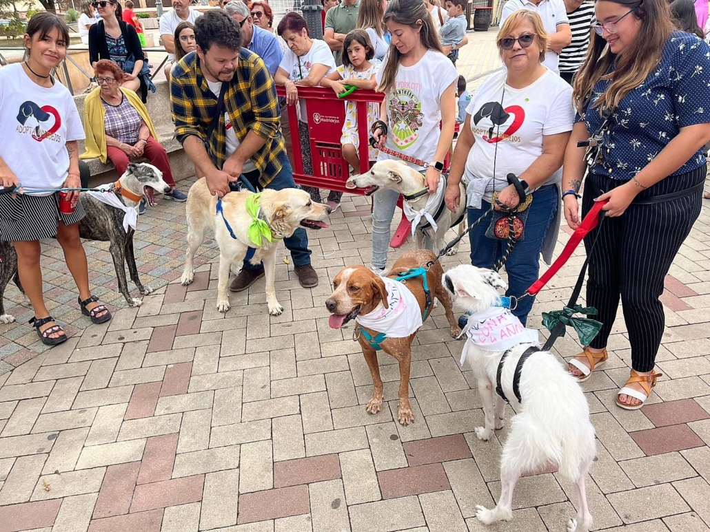 iii desfile mascotas madridejos