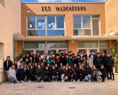 ies valdehierro madridejos
