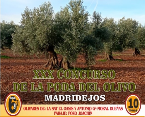 xxx concurso poda olivo madridejos