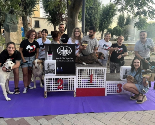 iv desfile mascotas