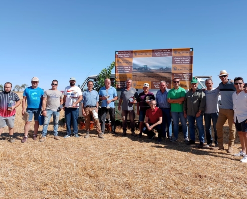 concurso arada feria madridejos 2024