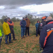 taller poda olivo madridejos