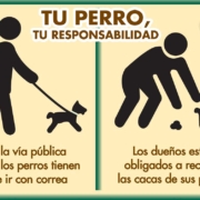 tu perro tu responsabilidad