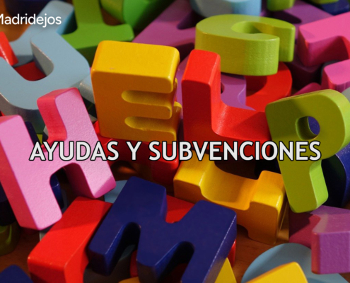 ayuda subvencion