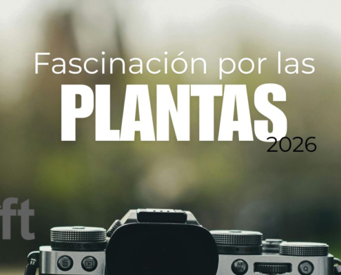 concurso fotografia aft 2026 diputoledo