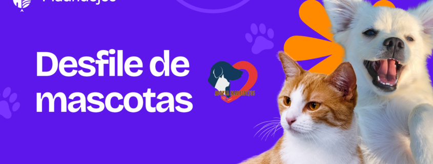 banner desfile mascotas