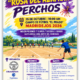 torneo perchos rosa del azafran