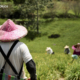 mujer rural