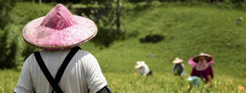 mujer rural