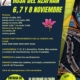 XIV torneo padel